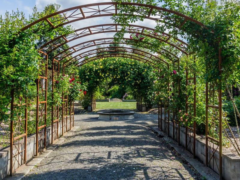 Melyik legyen: fa vagy fém pergola / terasztető